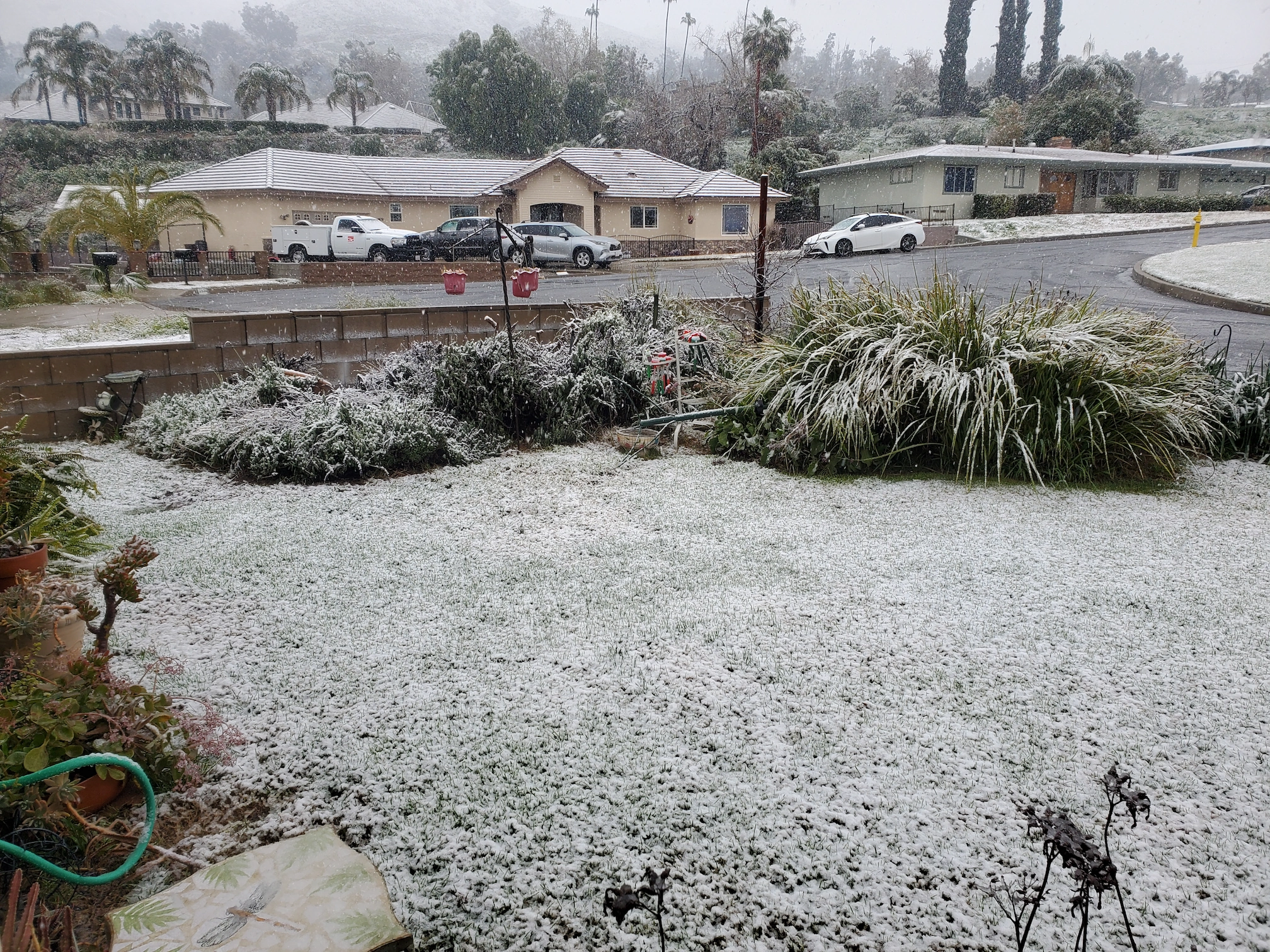 Duane L_20260126_200908_Snow_in_The_Empire__2-25-2023.webp